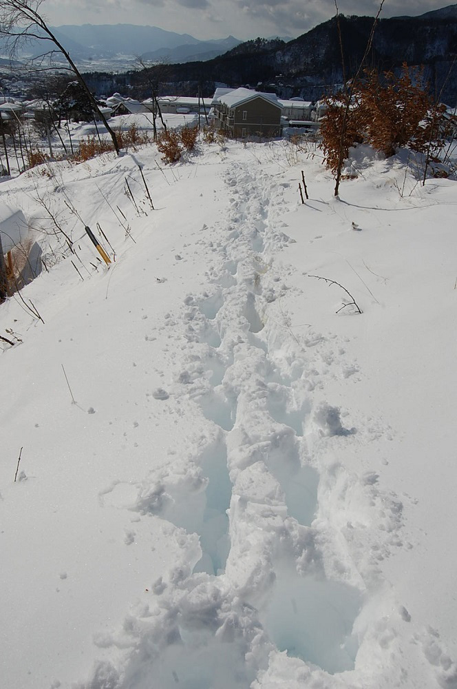 幸隆も新雪を踏みしめて歩いたゆかりの道
