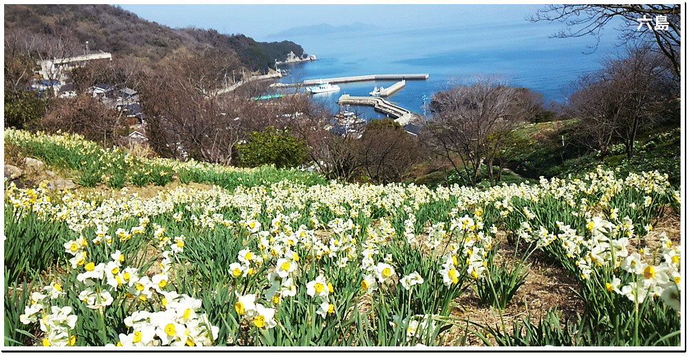 島